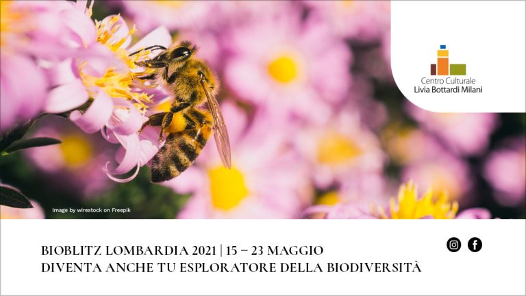 BioBlitz Lombardia